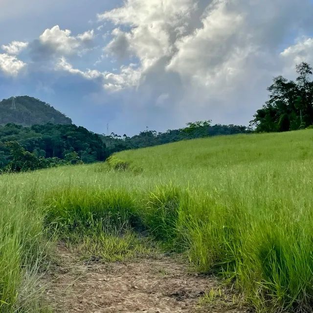 SÍTIO À VENDA - RIO DA LUZ / JARAGUÁ DO SUL - SC - Foto 3