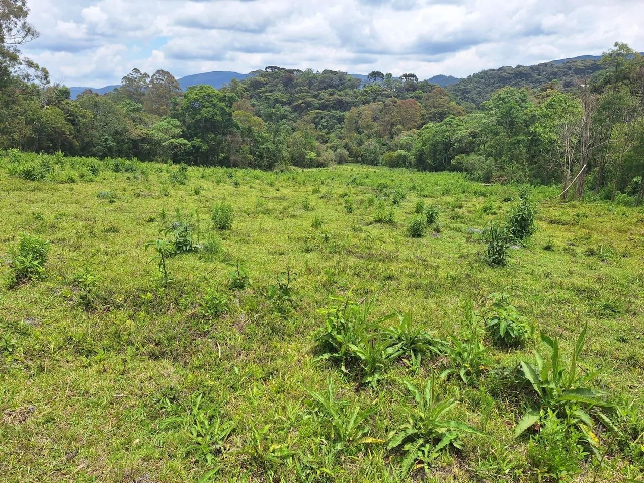 Terreno 40.000m², Delfim Moreira /MG - Foto 6