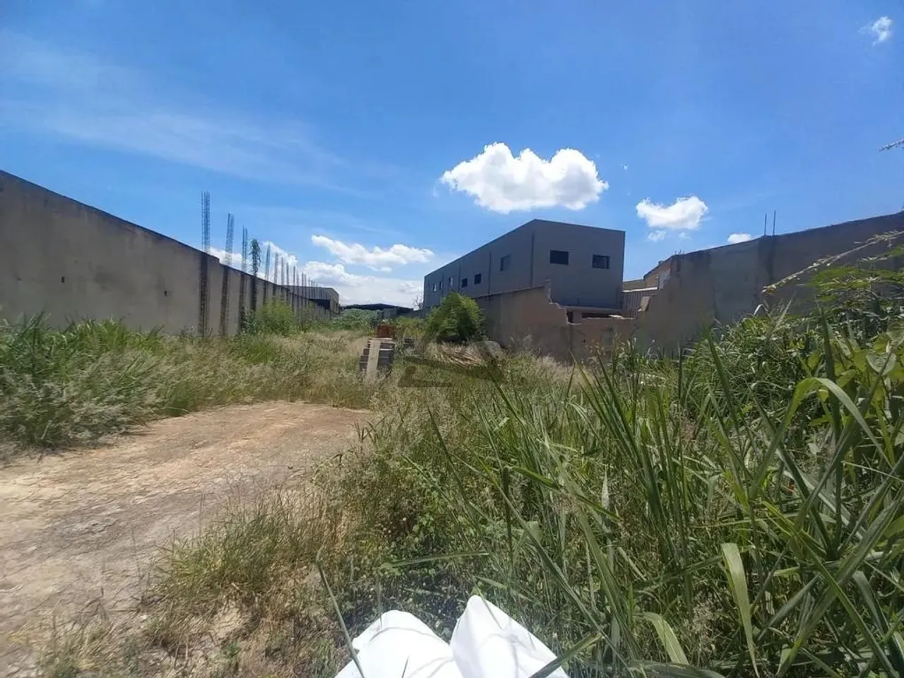 Terreno para alugar em Campinas, Conjunto Habitacional Padre Anchieta, com 1478 m²