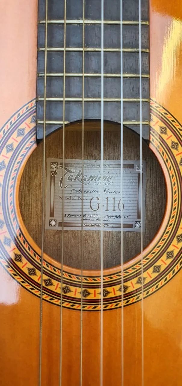 Violão eletroacústico Takamine G116 com cordas de nylon.   Não Trocas, Não Ofertas. - Foto 3