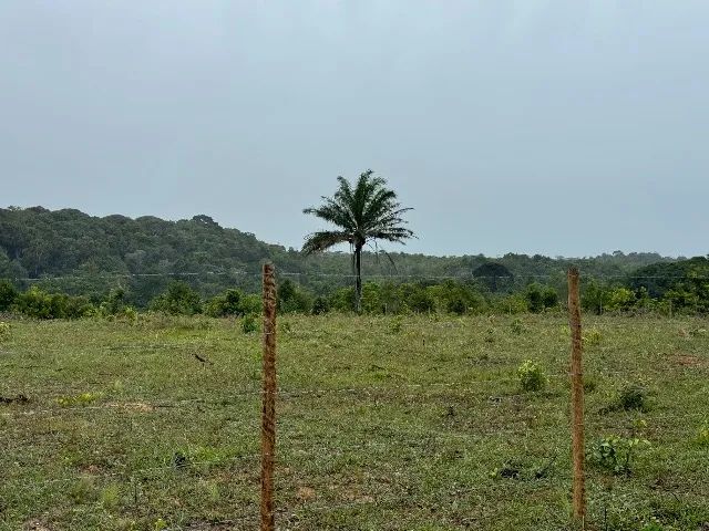 Vendo lindo sitio na praia de Cumuruxatiba ! - Foto 13