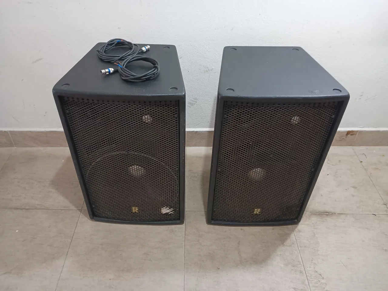 Caixas de Som passiva 15 polegadas