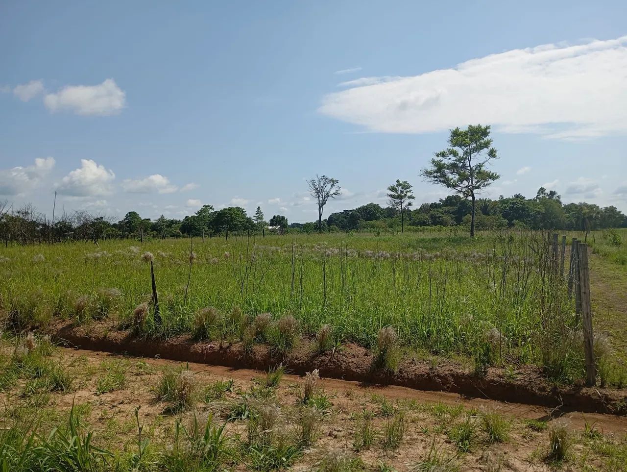 Vendo este terreno, a 1 km da ponte do canaã. - Foto 2