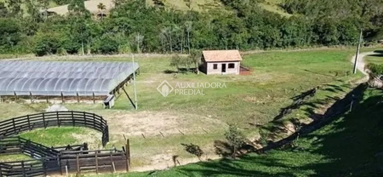 Fazenda porteira fechada com 50 hectares - Foto 4