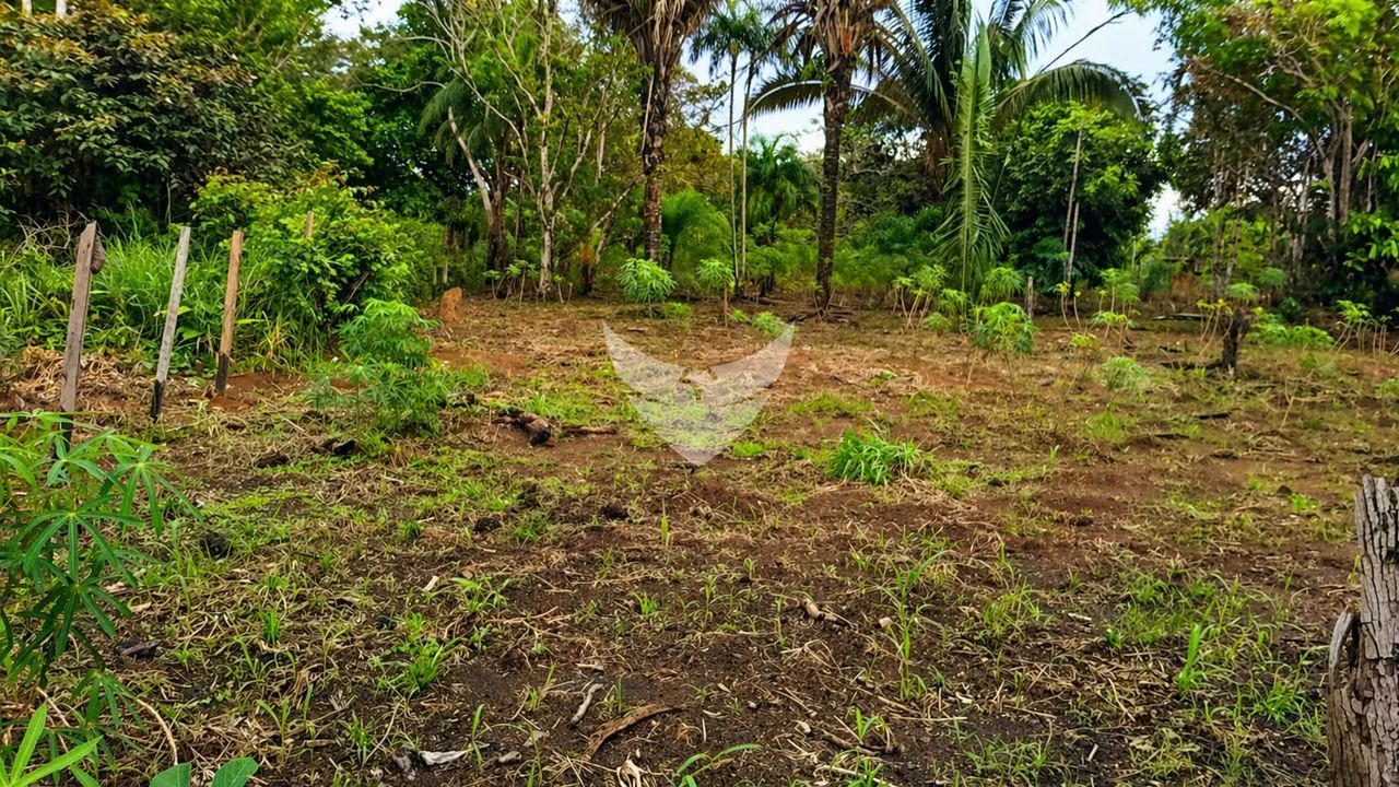 Chácara à Venda  Bairro Ronaldo Aragão - Foto 3