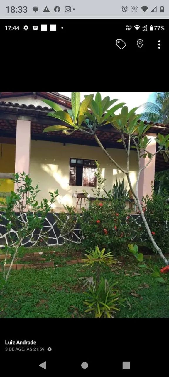 Sítio em Abrantes  - Foto 4
