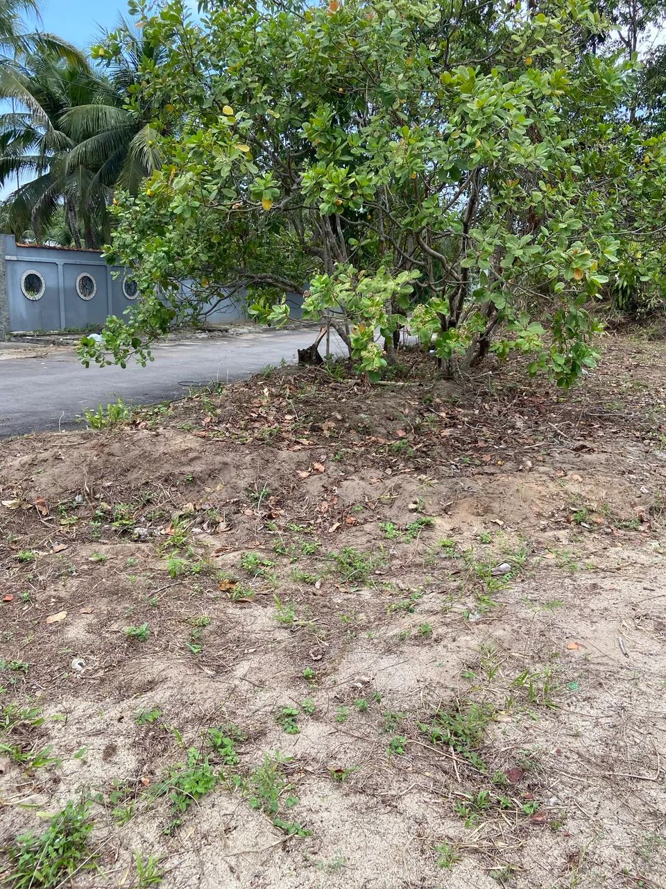 Terreno na Marina Taua  - Foto 3