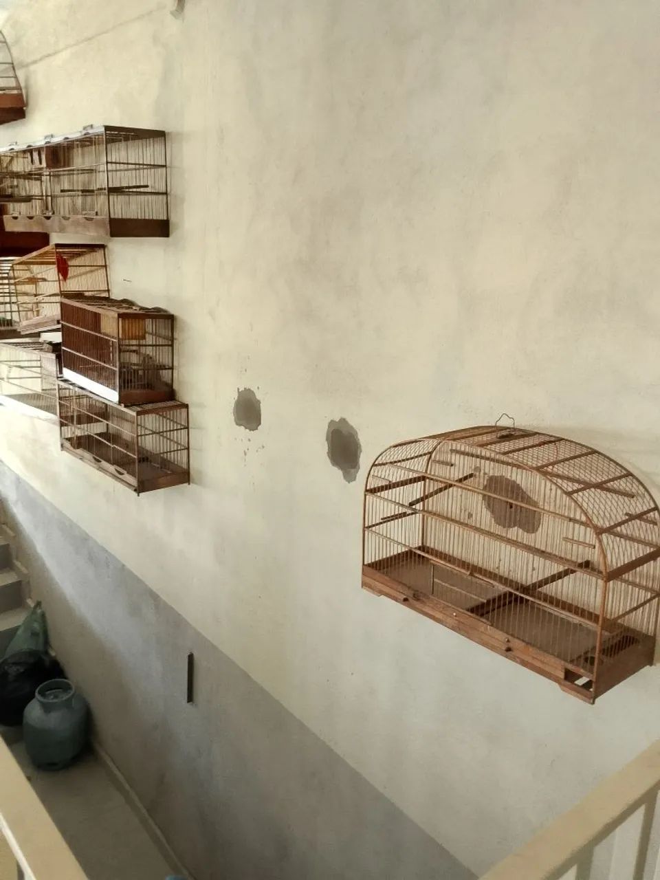 Gaiolas para passarinho 