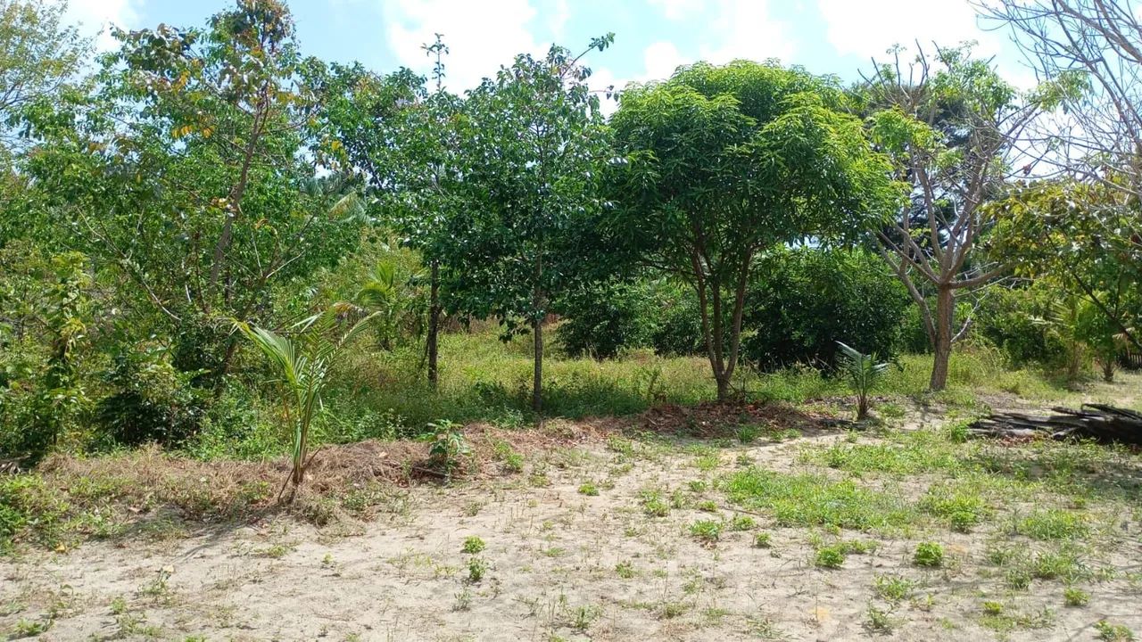 Vendo terreno em maruda - Foto 4