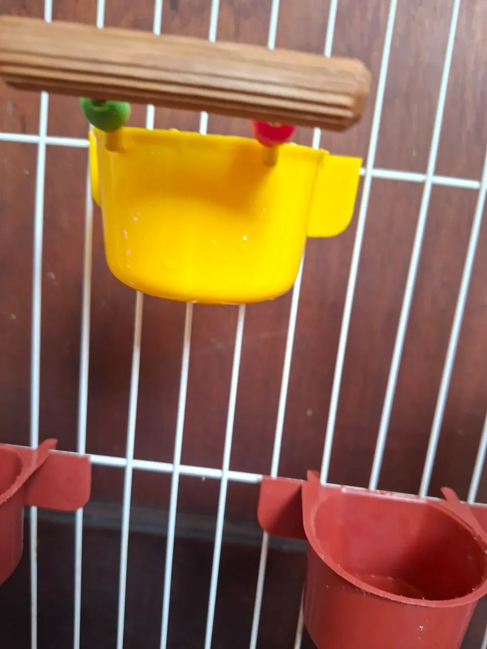 Gaiola para Calopsita  - Foto 4