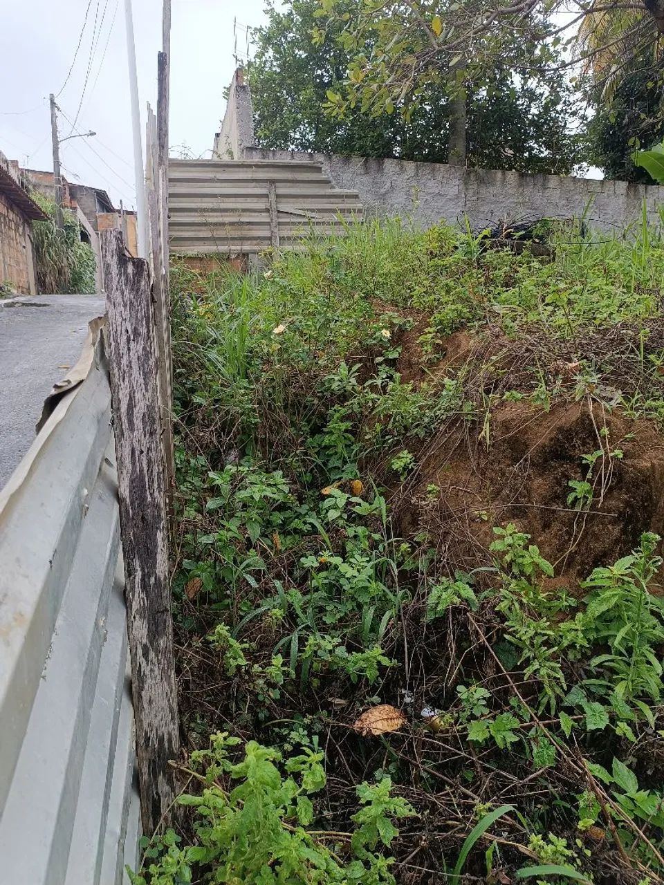 Oportunidade Terreno acessível  - Foto 4