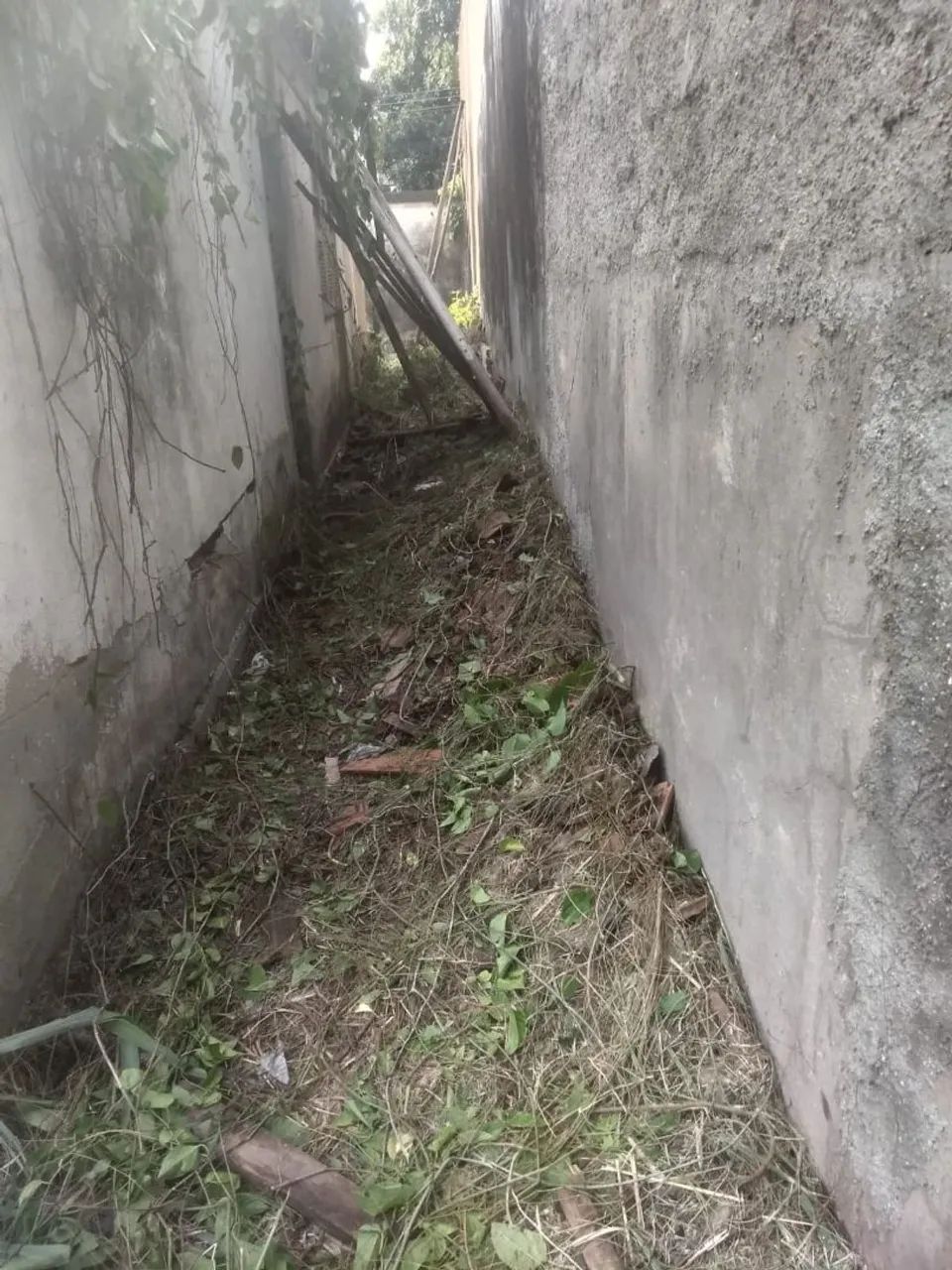 Vendo lote com casa antiga em Guadalupe  - Foto 3