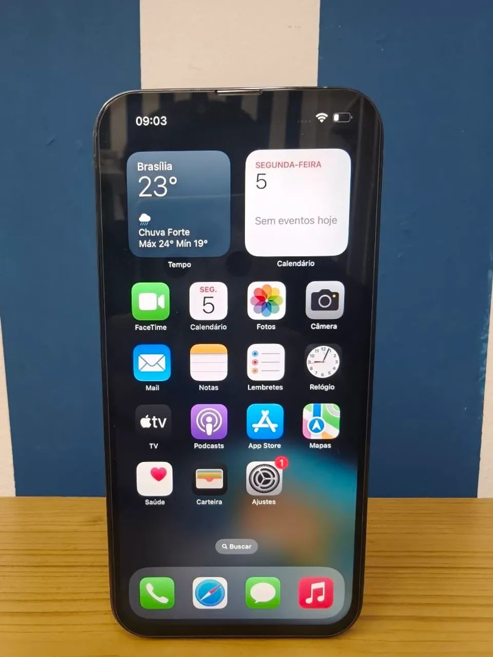 IPhone 13 pro Max (leia o anúncio)