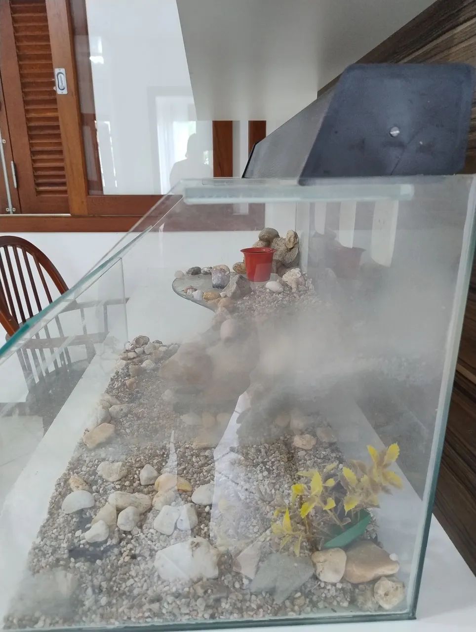 Vendo aquário usado - Foto 2
