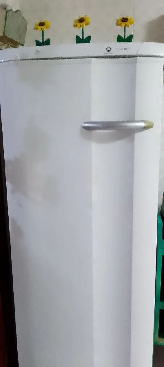 Freezer vertical Eletrolux 173L - Foto 2