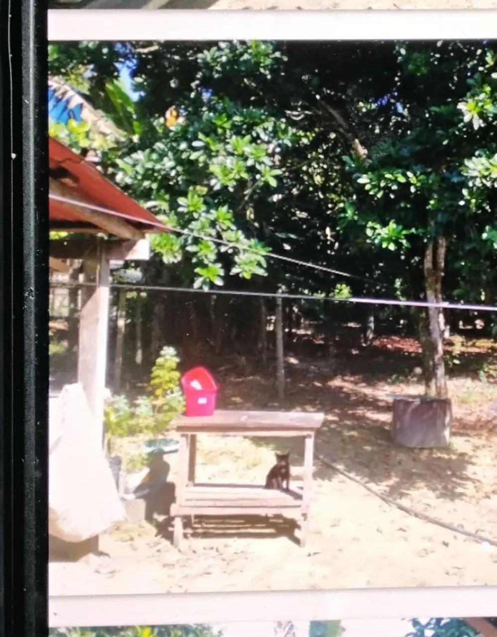 Vende se este lindo sitio.de alvenaria - Foto 5