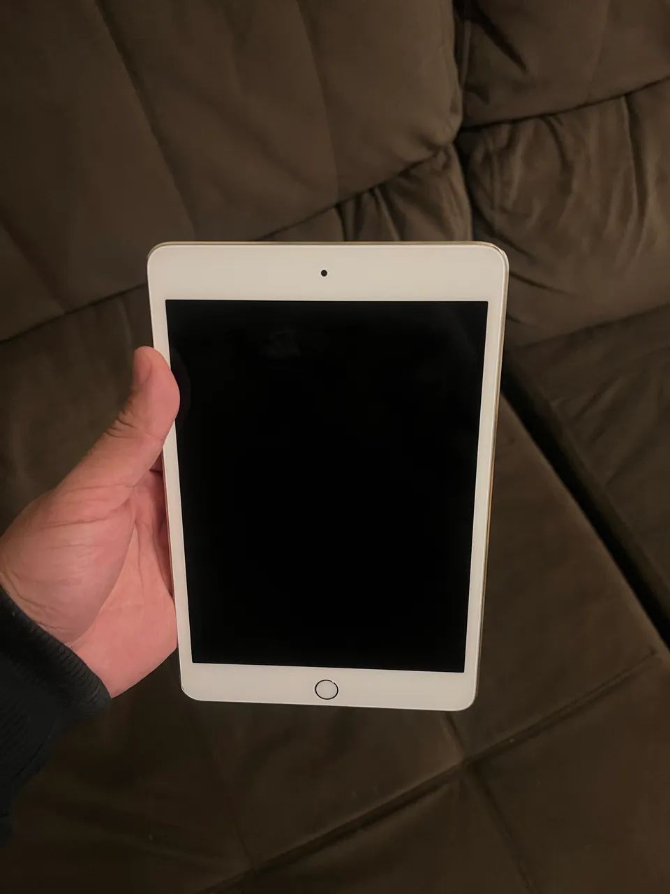 Ipad mini 4
