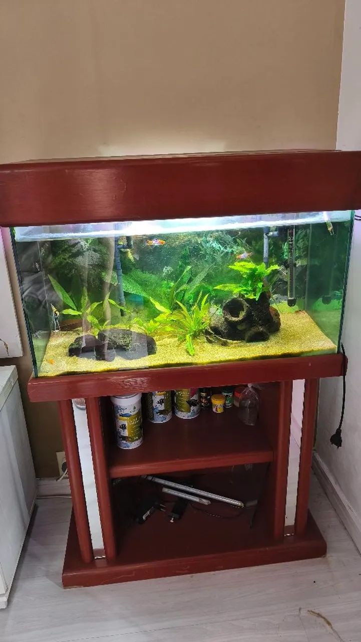 AQUÁRIO 120 LITROS - Foto 2