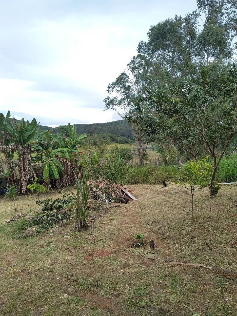 Foto - São José dos Campos - Jardim Mariana II