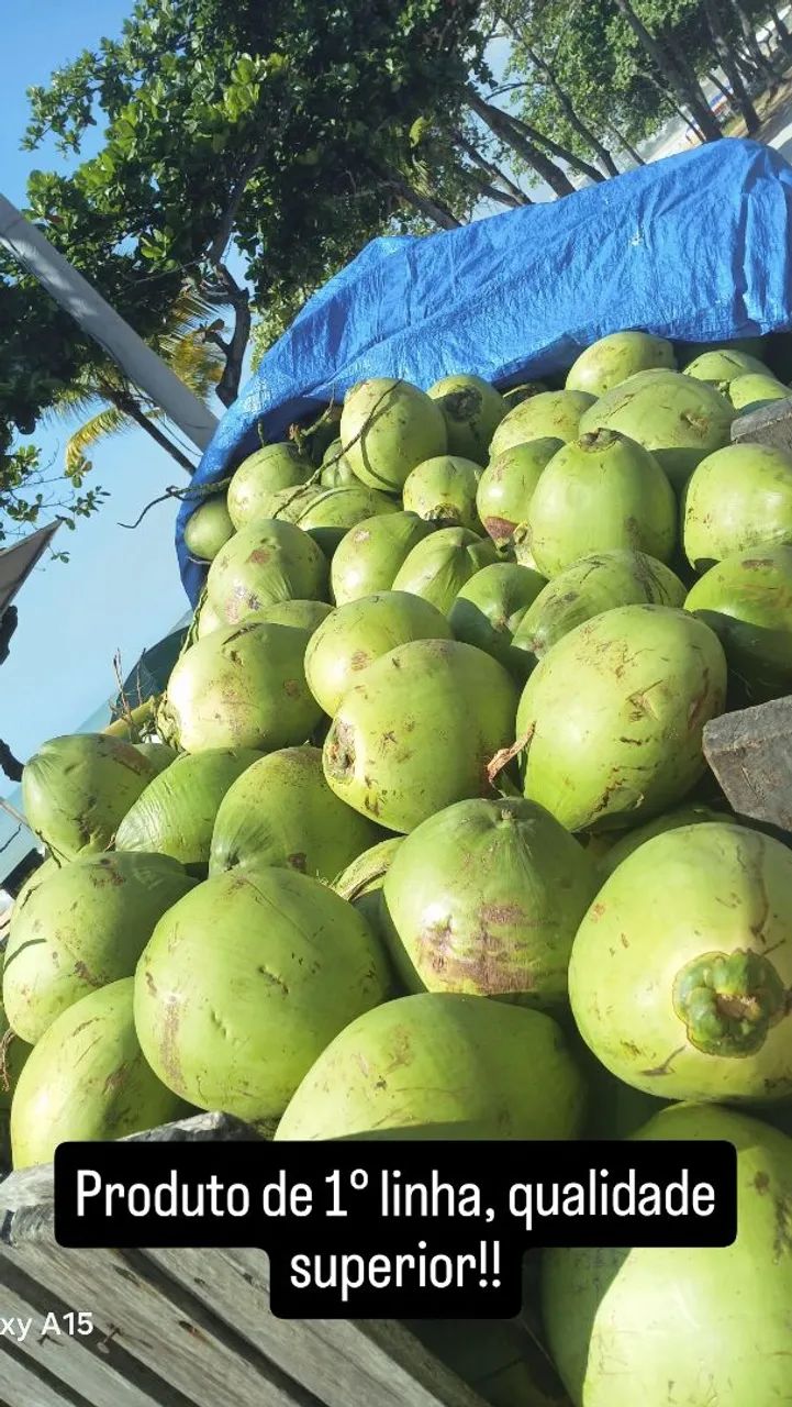 Preciso de cortador de coco com experiência - Foto 2