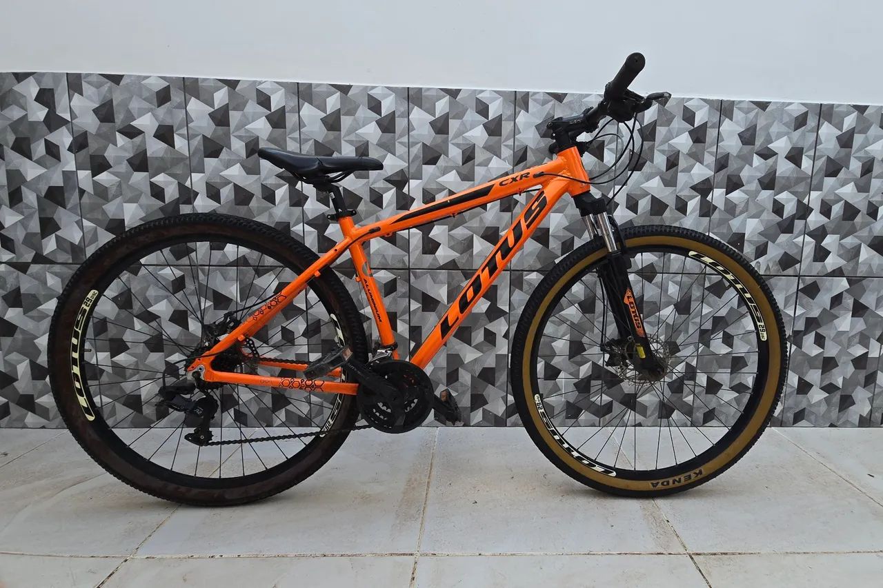 Bicicleta Lotus aro 29