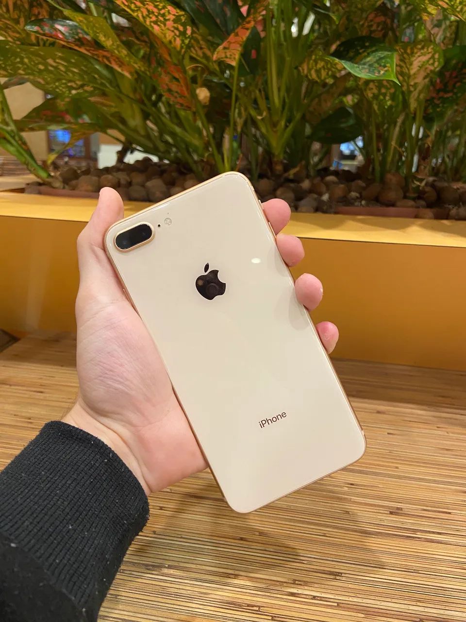 iPhone 8 plus