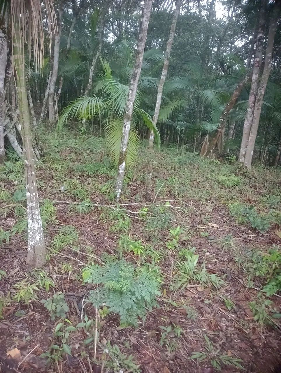 Terreno à venda  - Foto 5