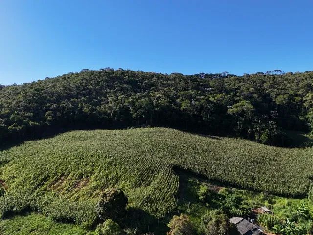 Terreno Duas Barras - Área total 2,5 hectares