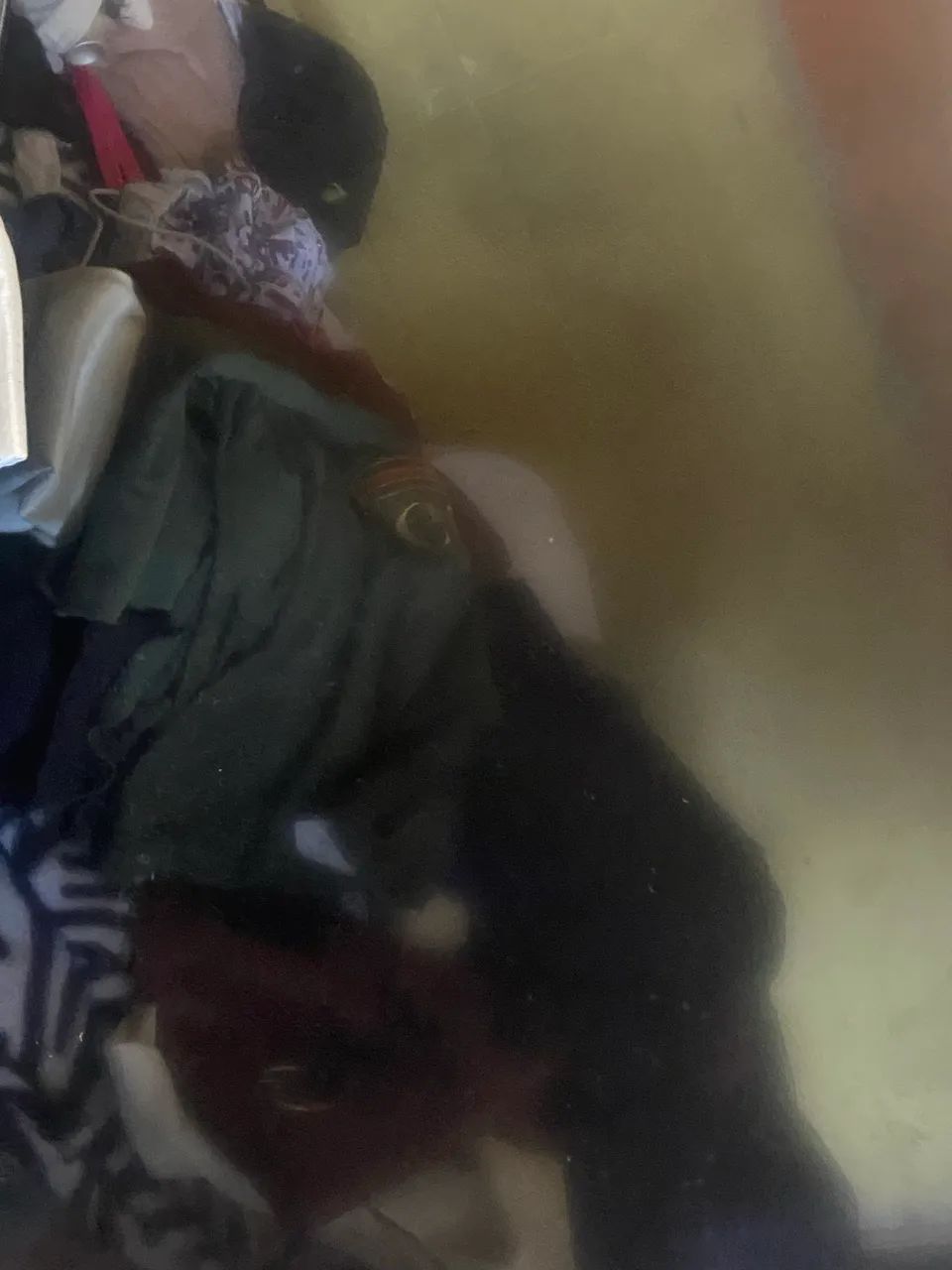 Televisão 50? polegadas em ótimo estado, nova