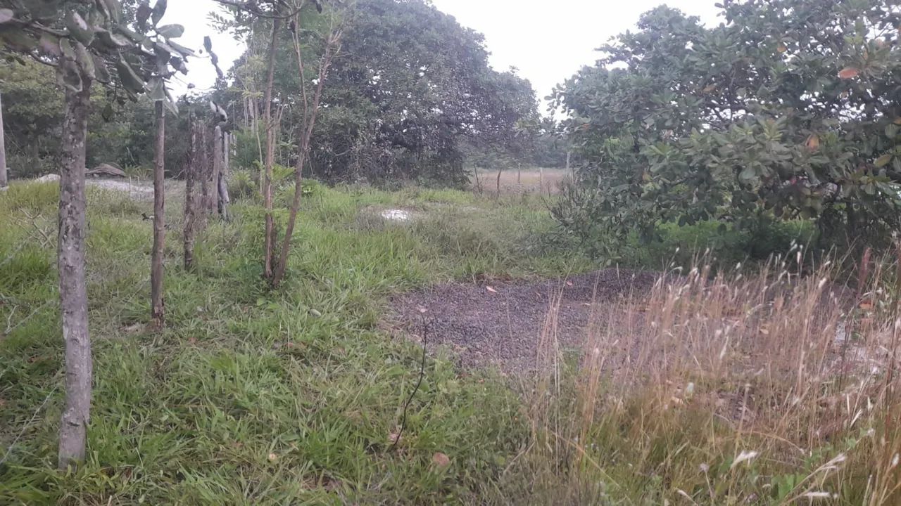 Terreno na Ilha  - Foto 2