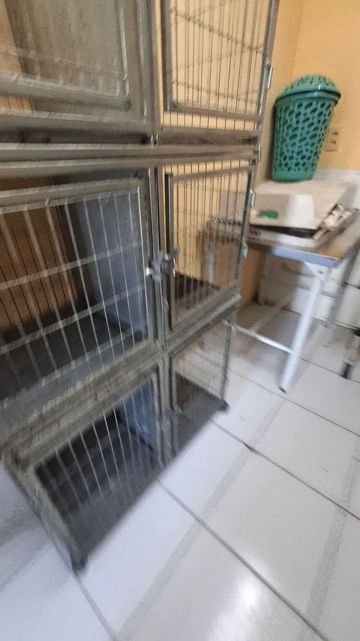 Canil de Ferro Galvanizado com 6 Baias - SUPER RESISTENTE - Foto 2