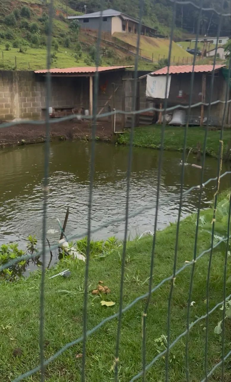 EXCELENTE CHÁCARA EM SANTA TERESA!!! - Foto 9