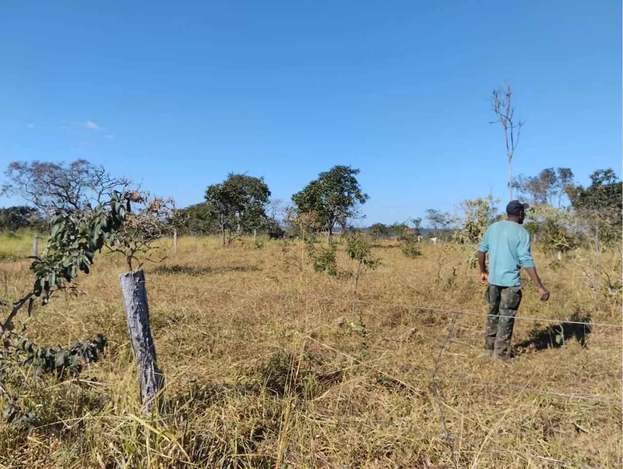 Fazenda Luziânia-go - Foto 2