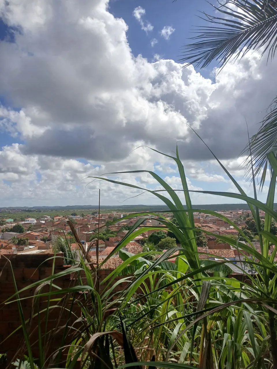Sítio com 2 casinha pra o seu conforto  - Foto 4