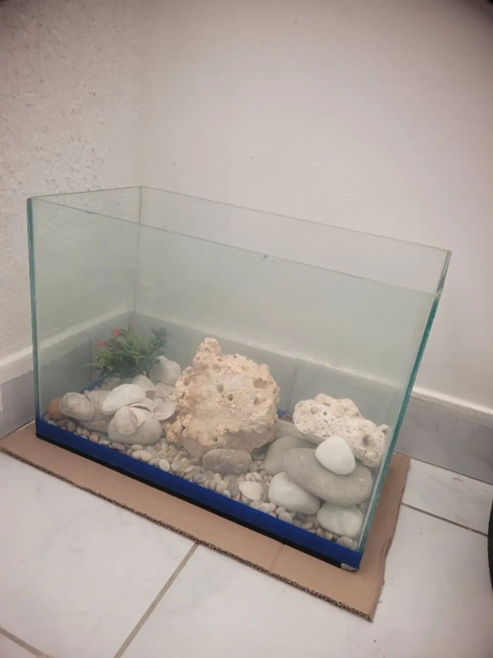 Aquario 