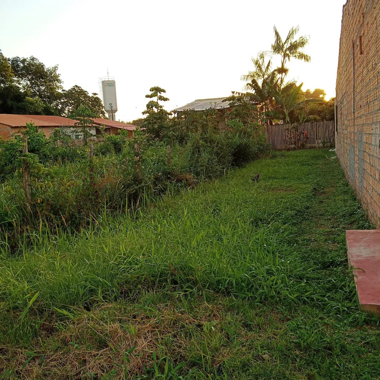 Terreno em Abaetetuba  - Foto 4