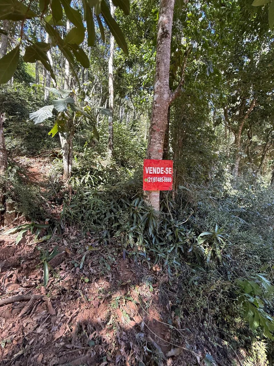 Terreno Vale Das Videiras - Foto 3