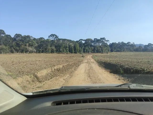 FAZENDA A VENDA EM PRUDENTOPOLIS - Foto 5