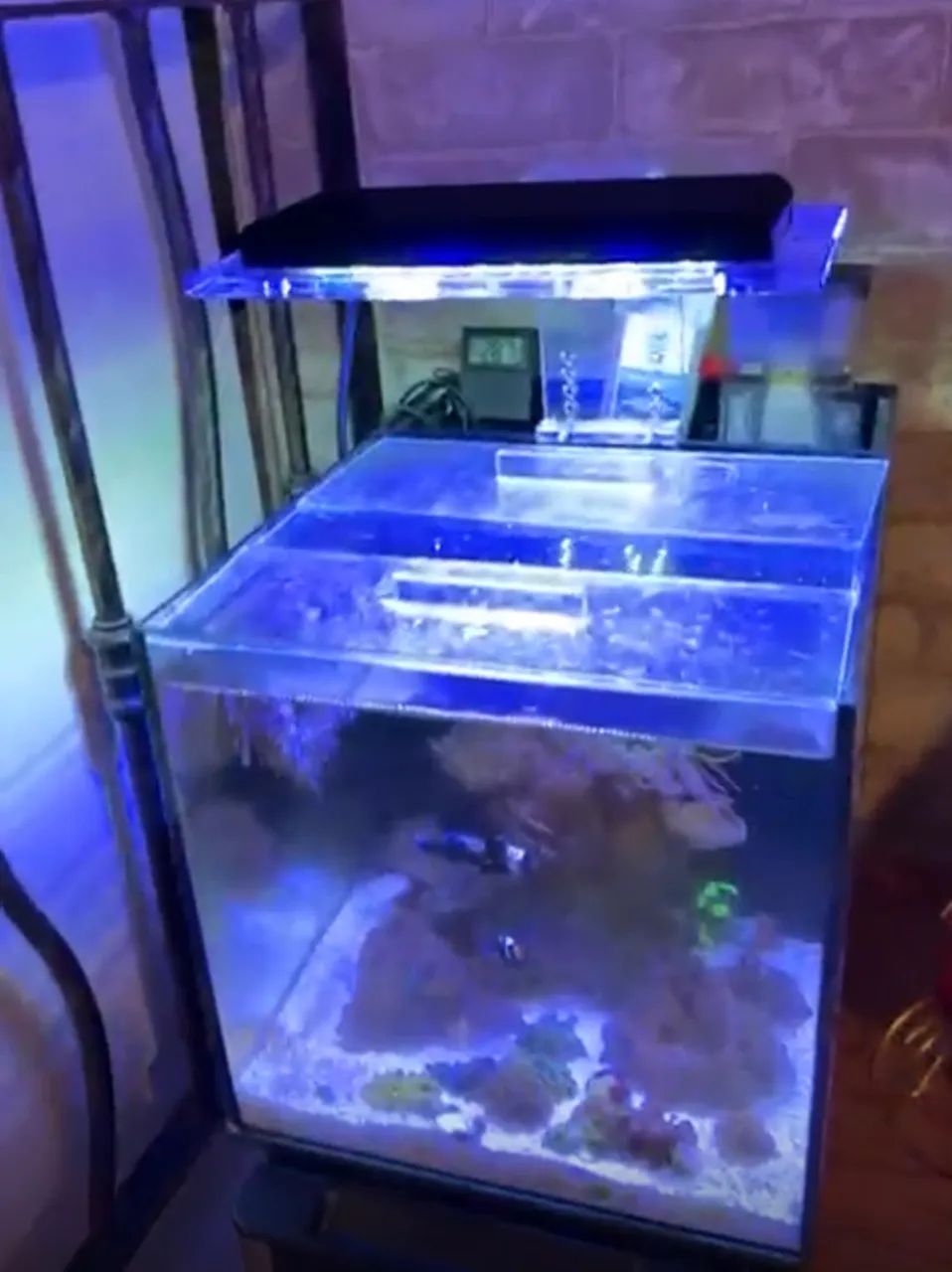 Aquario nano completo