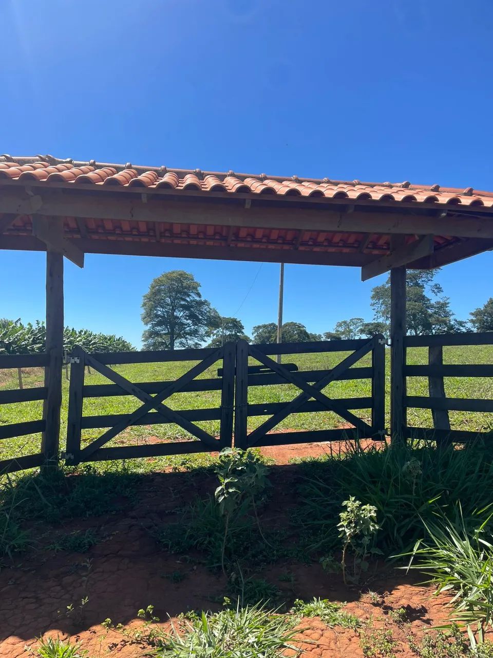 Chácara em Ouro Verde - Foto 2