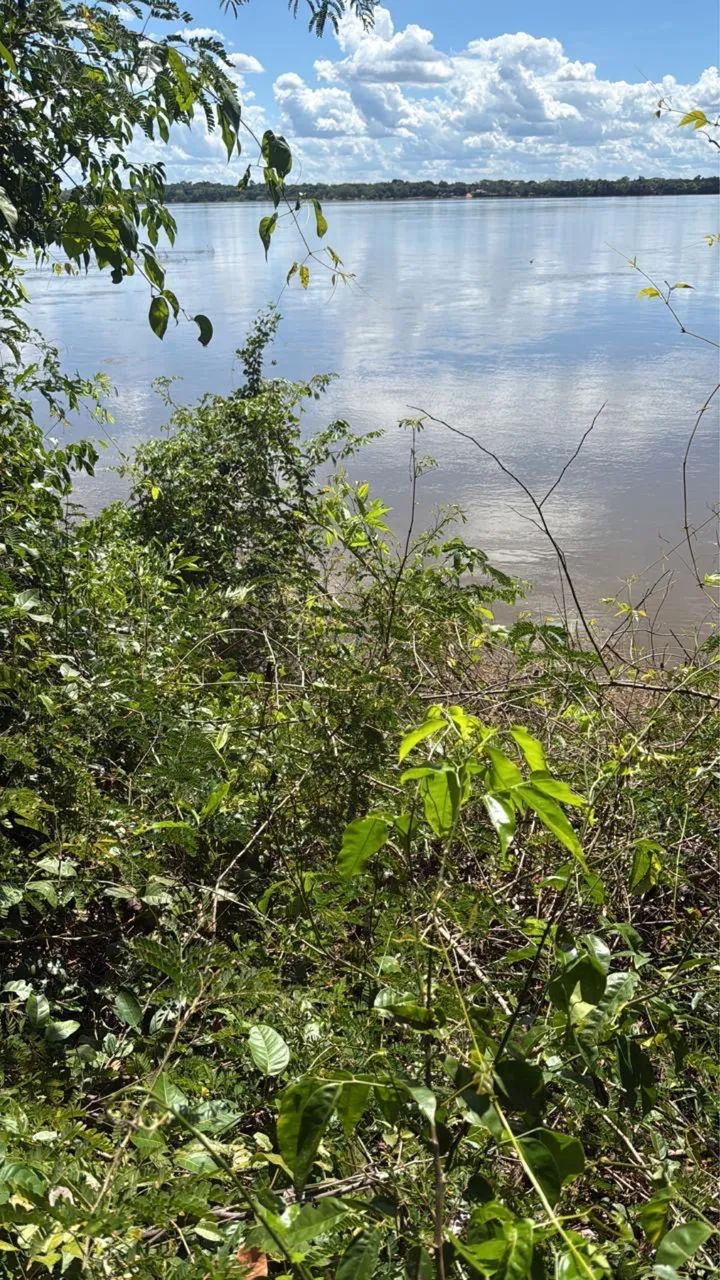 Vende-se lotes em ilha  - Foto 5