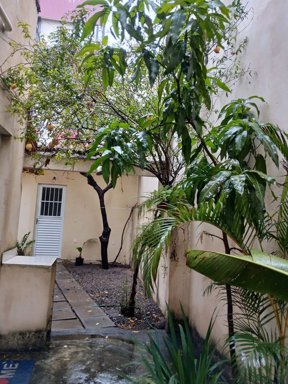 KTINET EM JARDIM CAMBURI - Foto 5