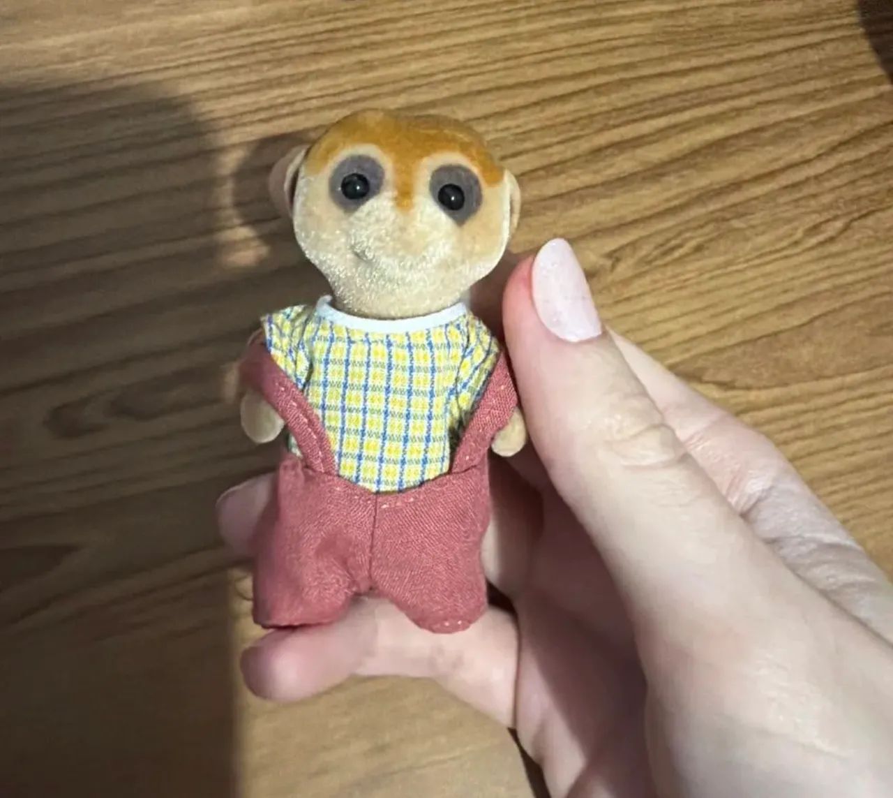 Sylvanian reservado 