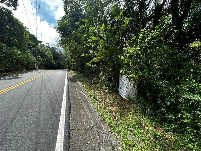 Terreno - Florianópolis SC - Foto 4