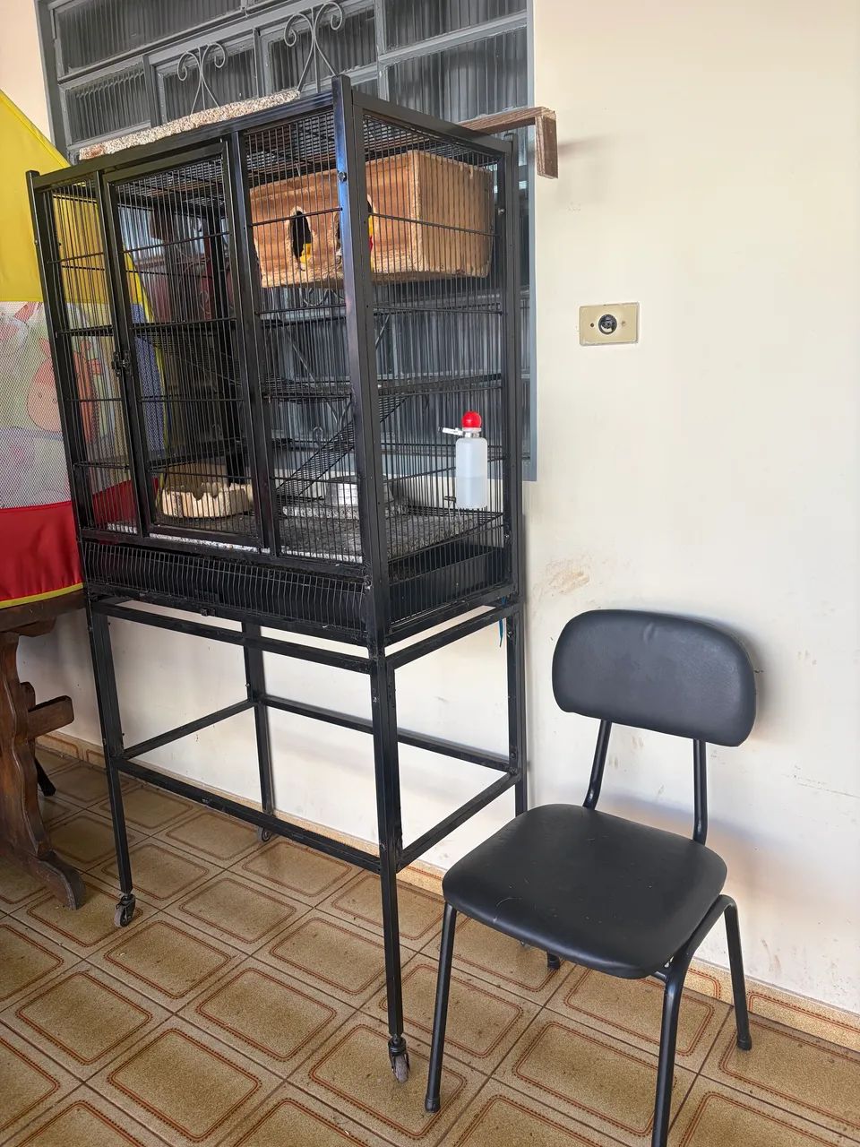 Vendo chinchila com gaiola  - Foto 3