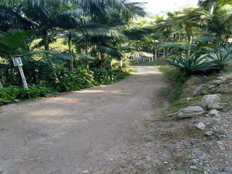 Sítio RODEIO - SC - Foto 2