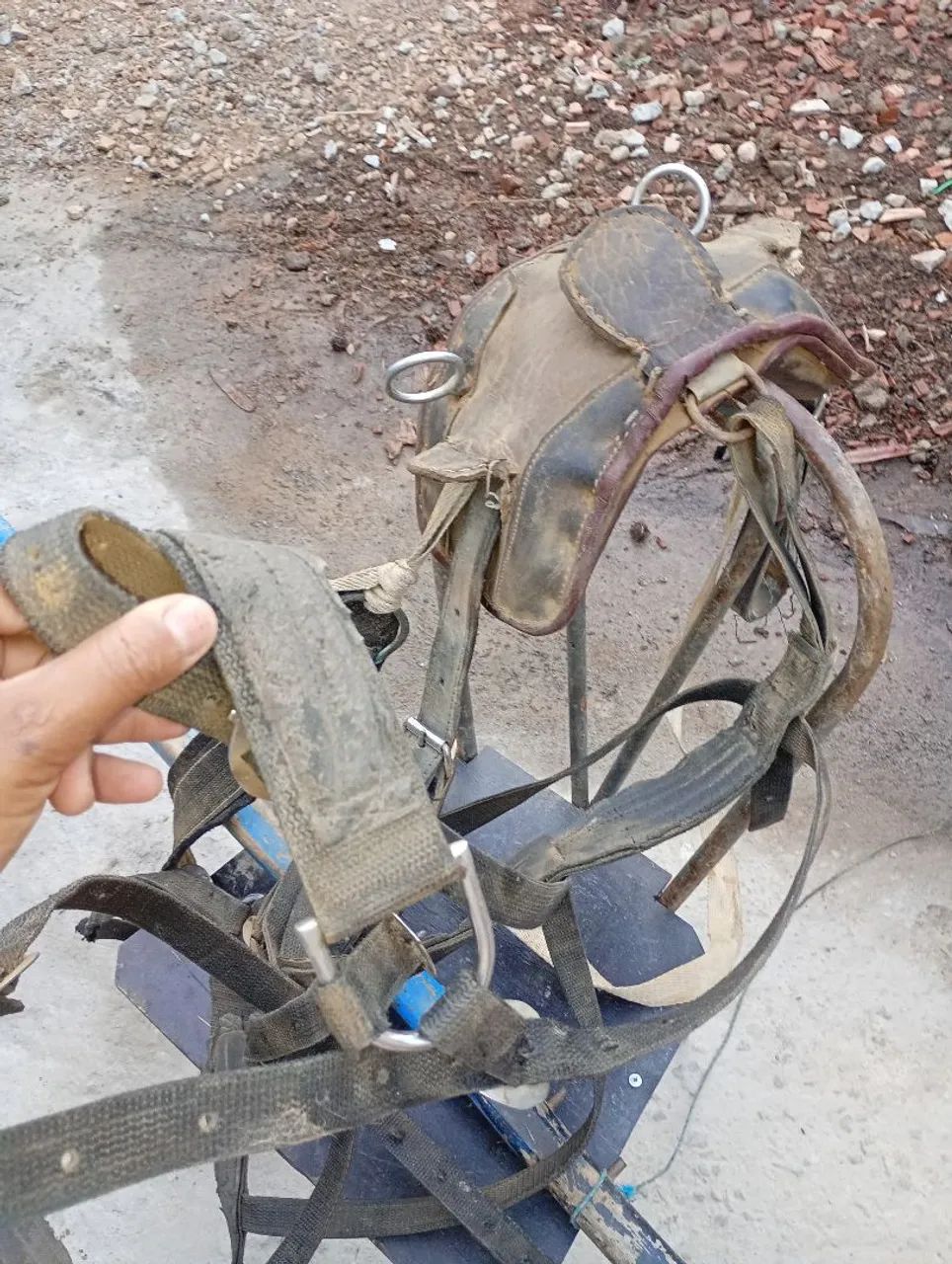 Charrete para cavalo - Foto 3
