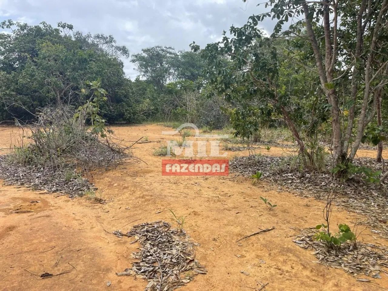 Fazenda Dupla Aptidão em Uruaçu-GO. (44 Alqueires) - Foto 3