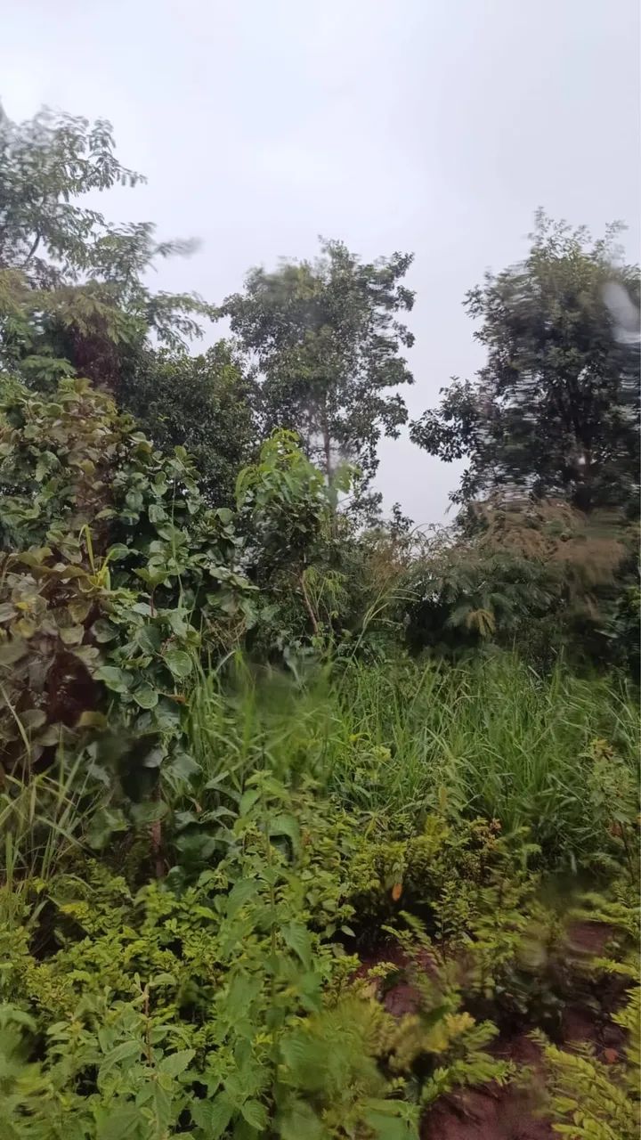 Foto - São Paulo - Vila Olímpia