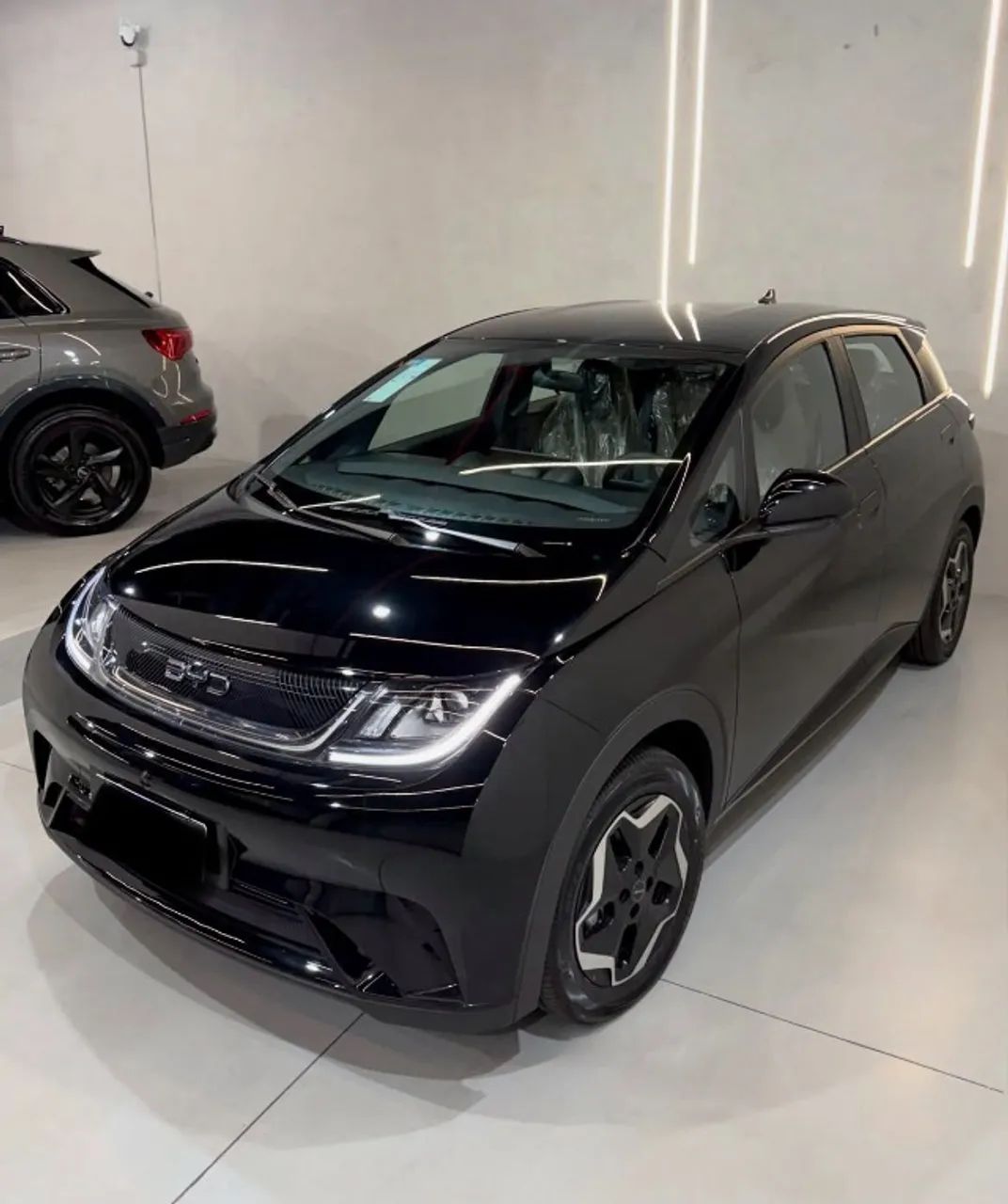 BYD Dolphin GS (Elétrico) 2026 - Foto 2